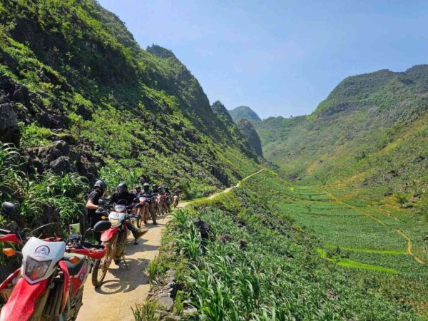 riding motorbike through corn field and rocky moutain in Ha Giang Loop